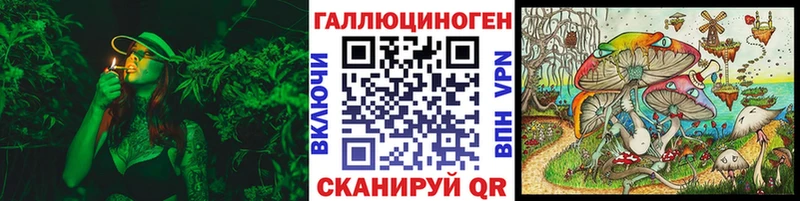 Галлюциногенные грибы GOLDEN TEACHER OMG как войти Курильск